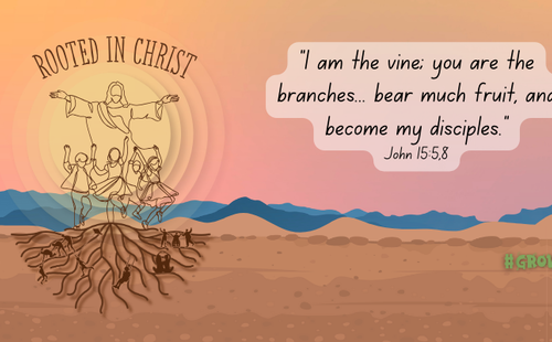 Rooted in Christ theme image